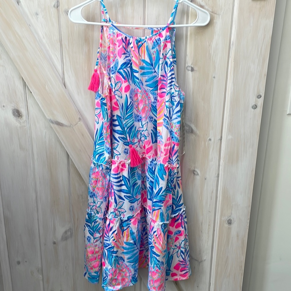 Lilly Pulitzer dress. New. No tags. Never worn. Large